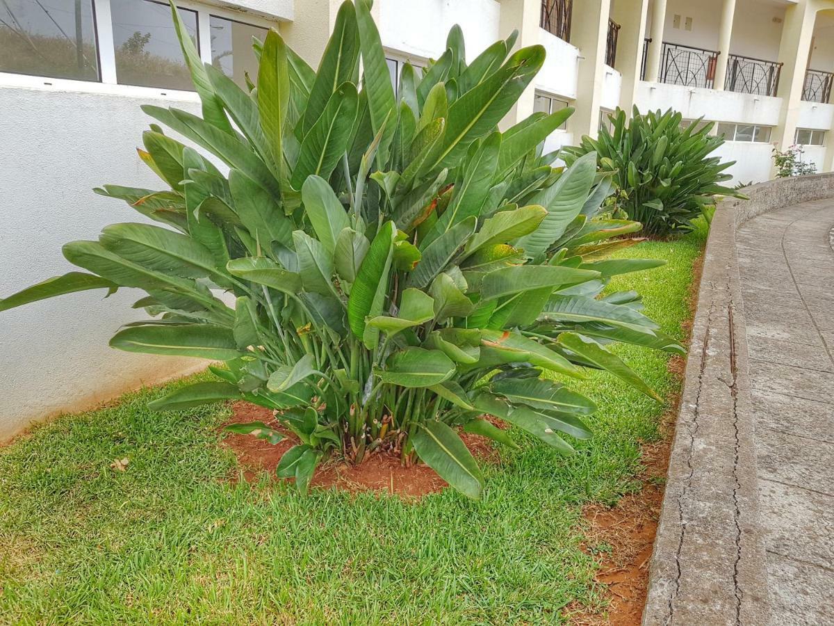 Apartment Falesia - Reis Magos *