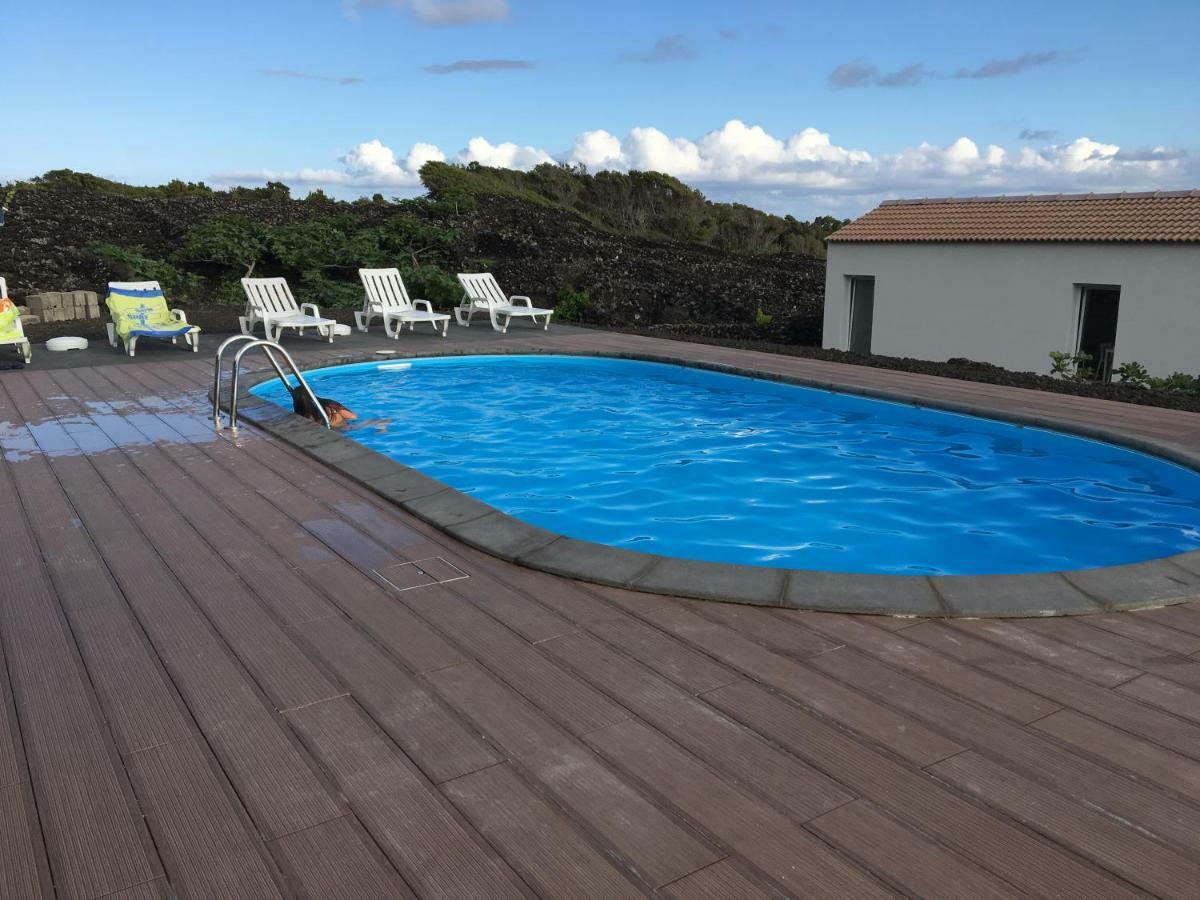 Apartment Insula Vinus