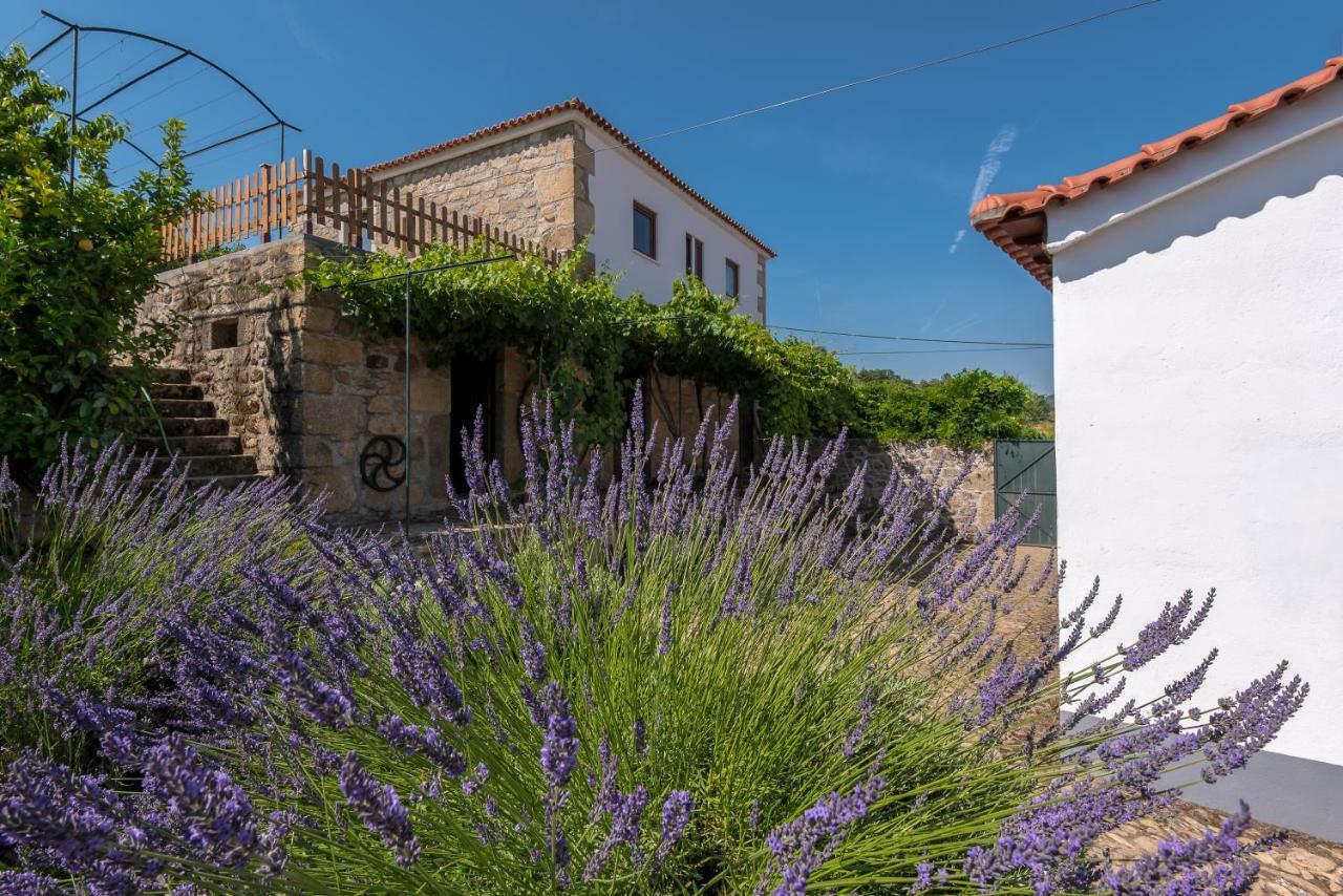 Quinta Do Acipreste *