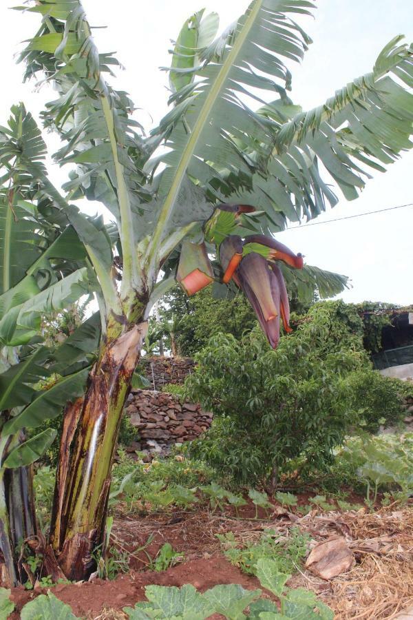 Vivenda Da Natureza Holiday home *