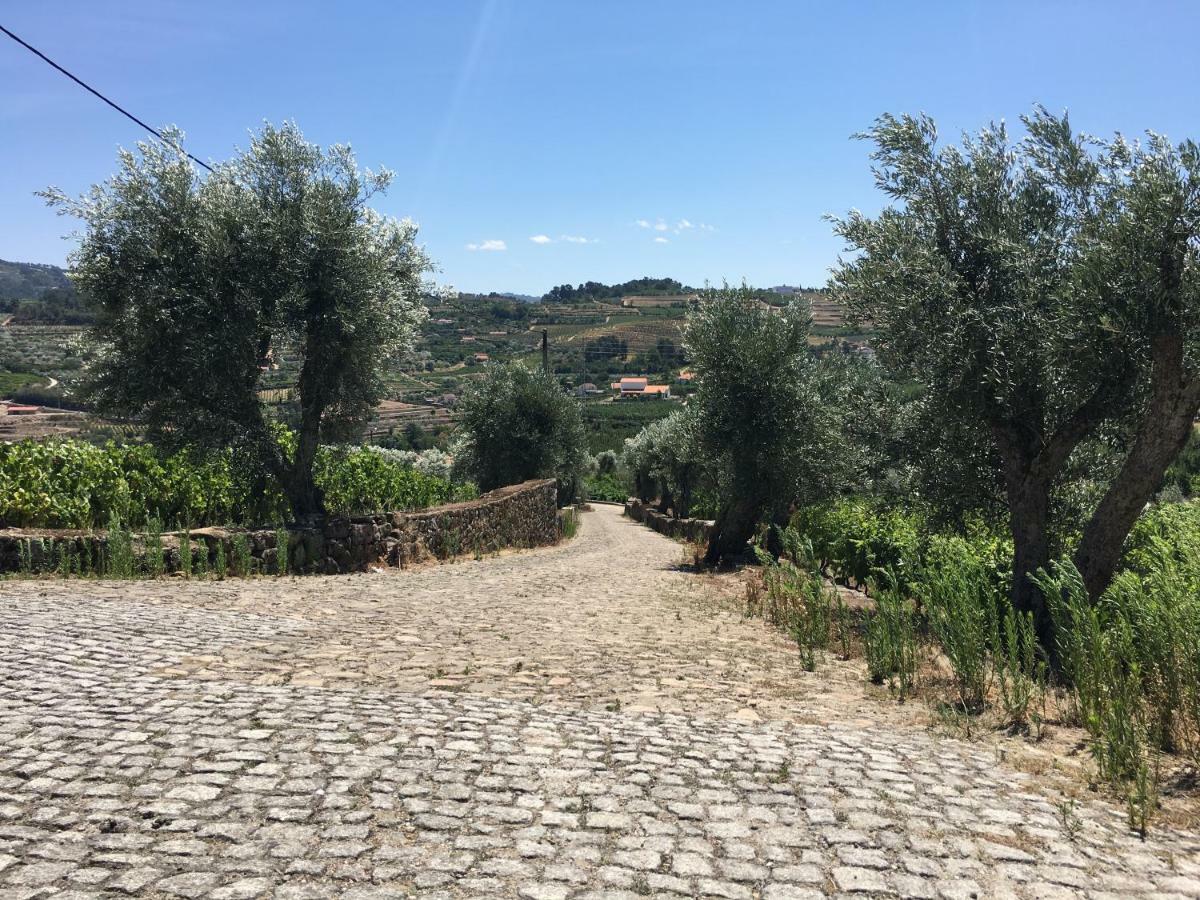 Apartamento Quinta Do Acipreste Lamego