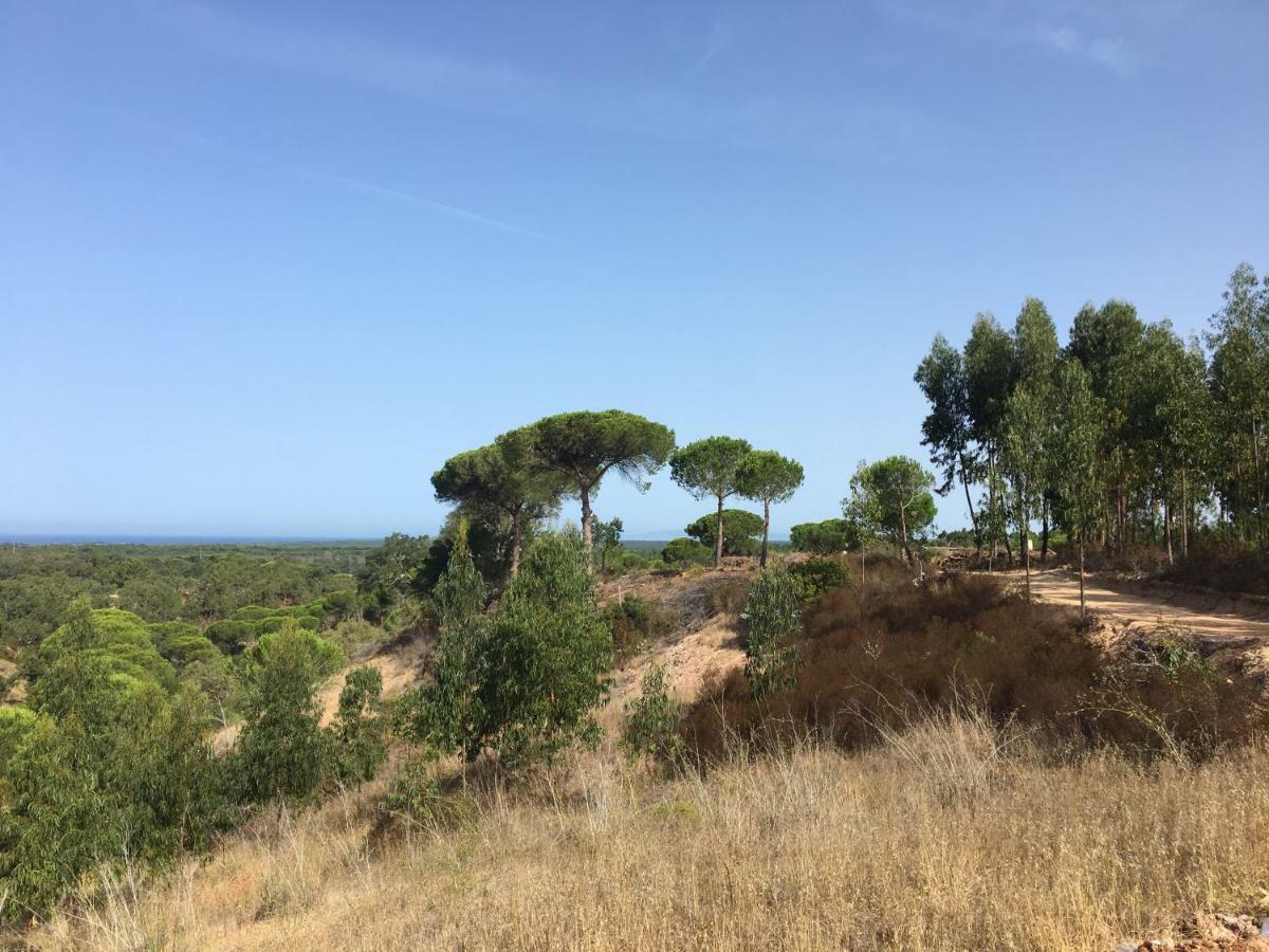 Montum Farm Living * Melides