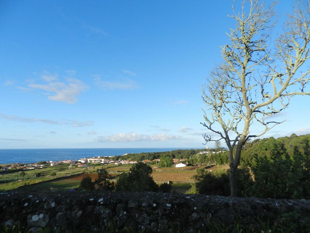 Vale Dos Milhafres Holiday home *