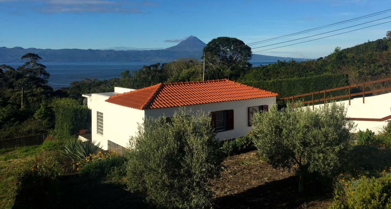 Azorean Sao Jorge