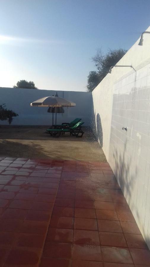 Painel De Monsaraz