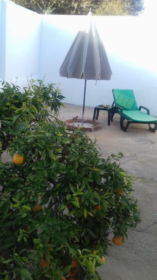 Painel De Monsaraz Holiday home *