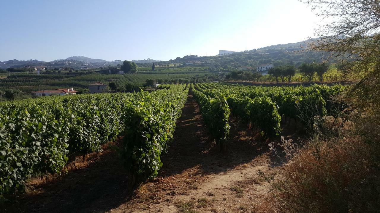 Quinta Do Acipreste Appartement *
