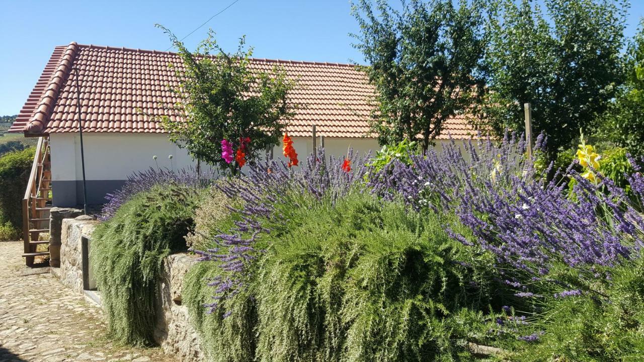 Quinta Do Acipreste Appartement *