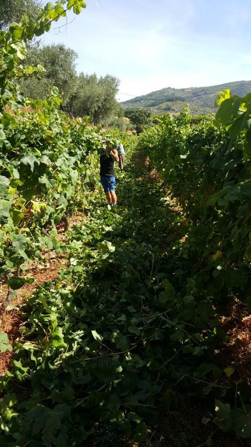Quinta Do Acipreste Appartement