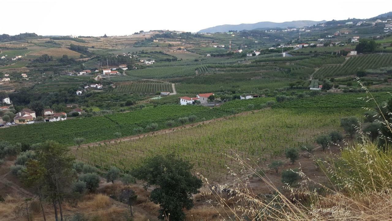 Apartment Quinta Do Acipreste Lamego