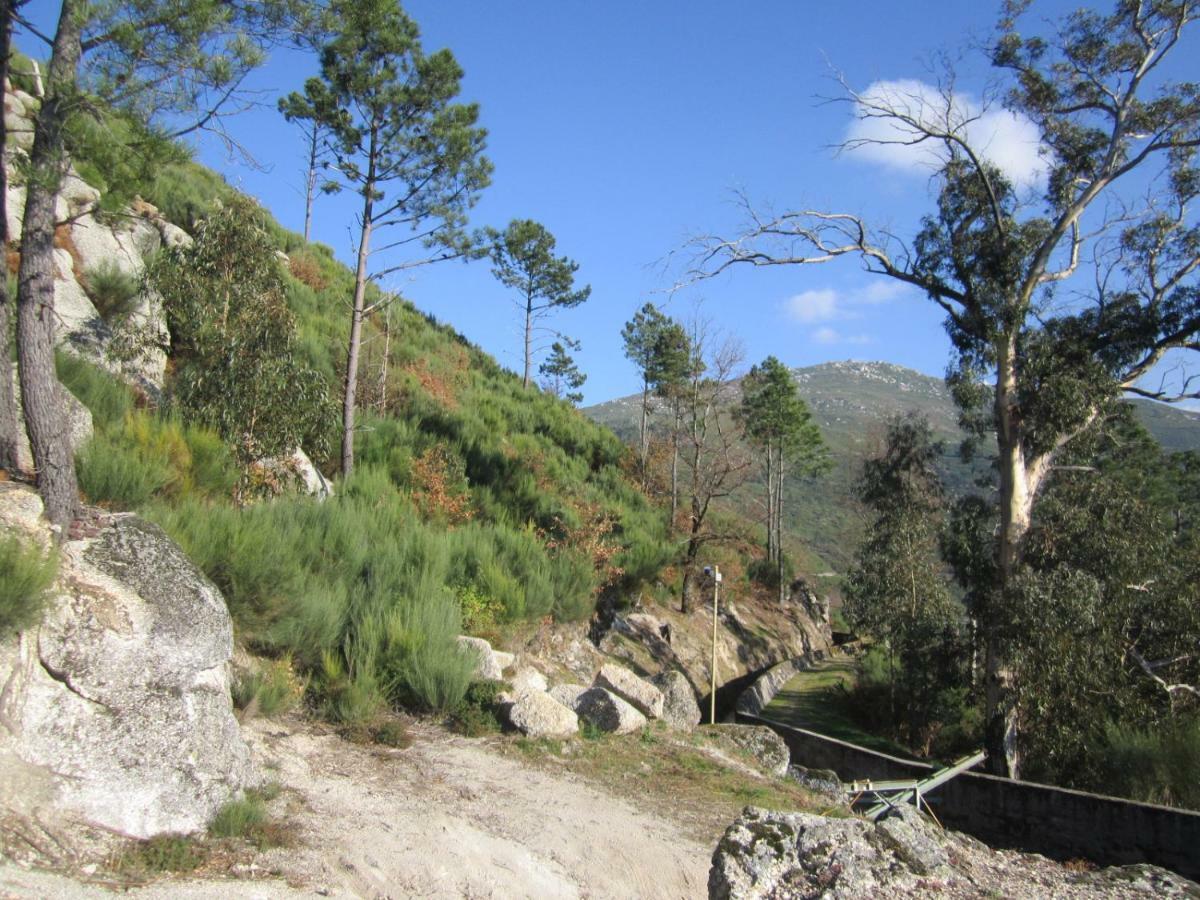 Casa Miguel * Sabugueiro (Guarda)