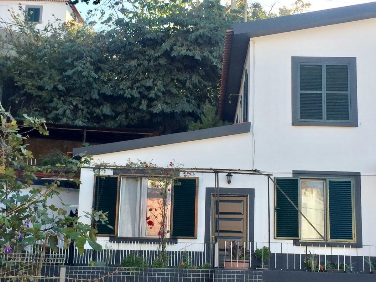 Rochinha Cozy Guest house Funchal (Madeira)