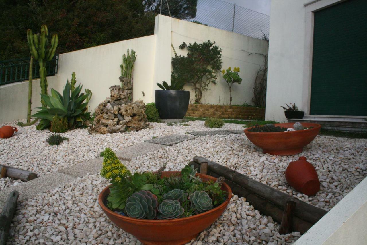 Casa Da Avo Bela Homestay