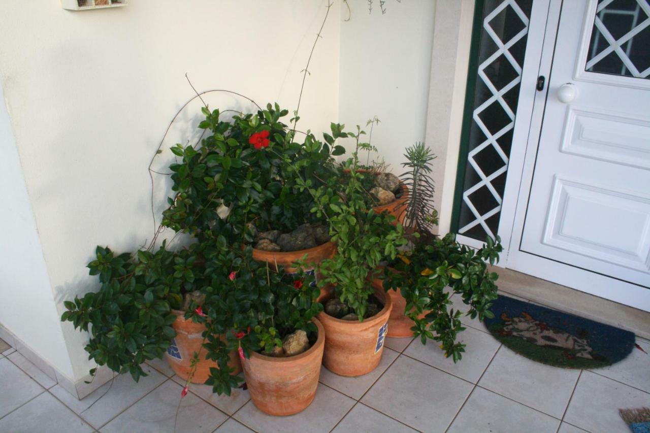 Homestay Casa Da Avo Bela