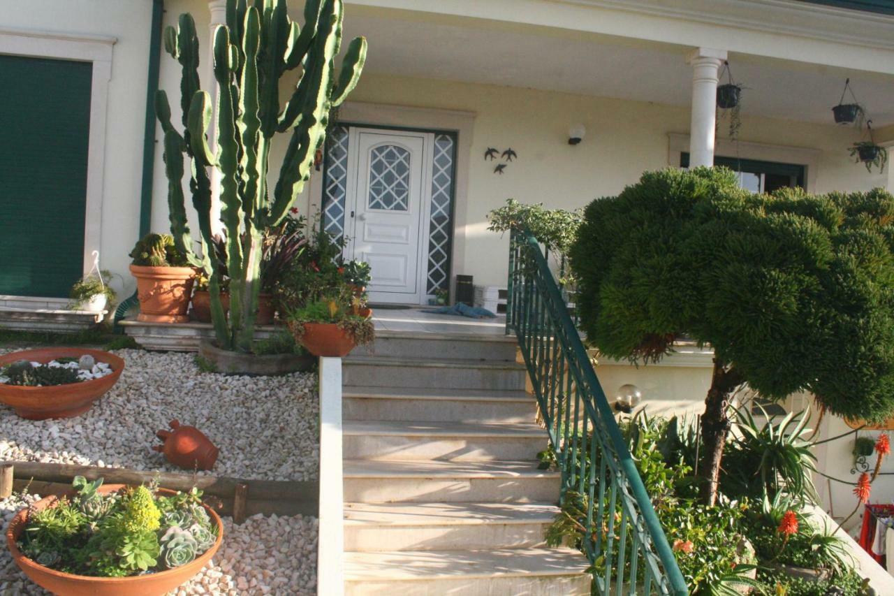 Casa Da Avo Bela Homestay *