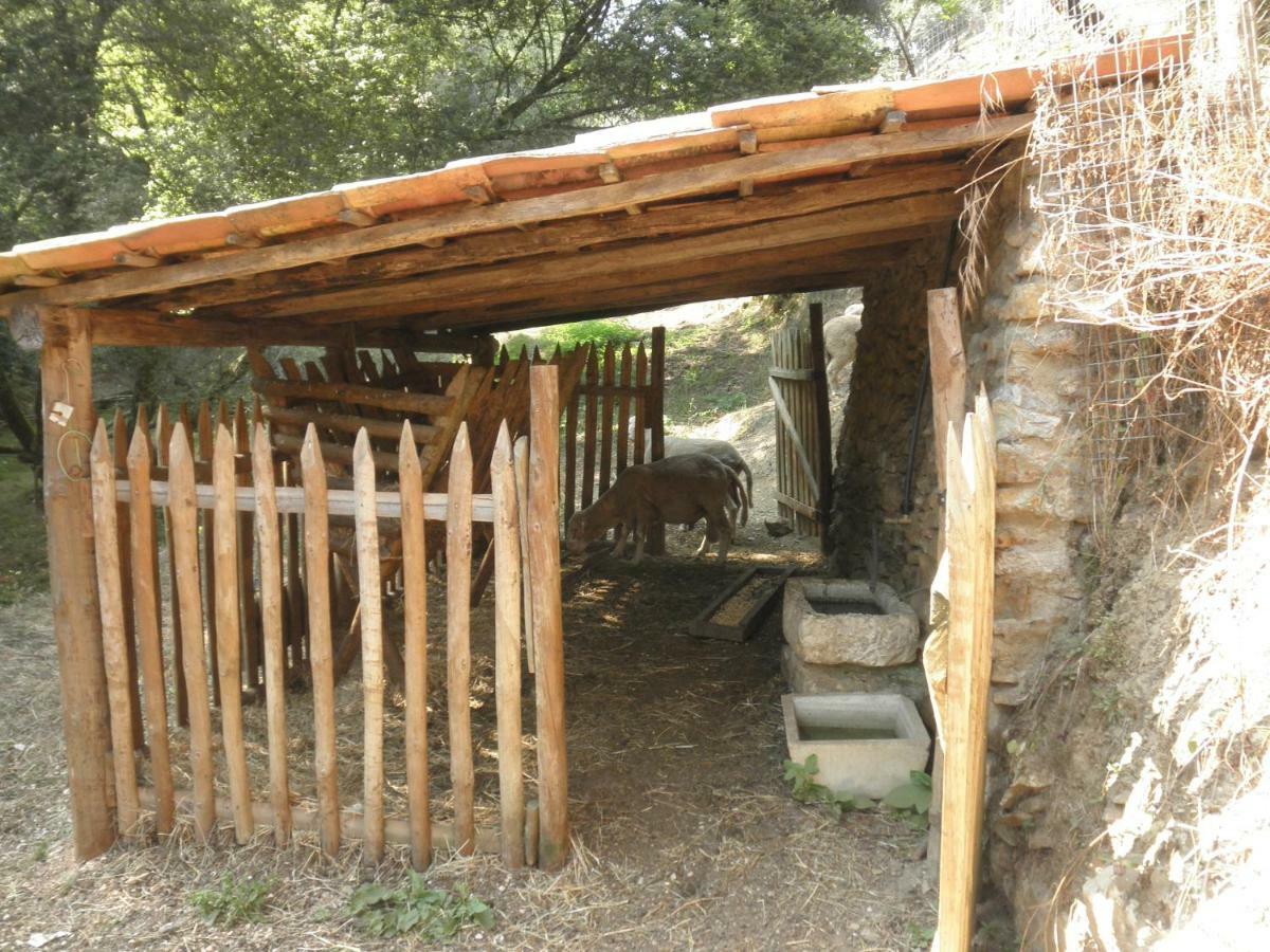 Holiday home Casa Velha