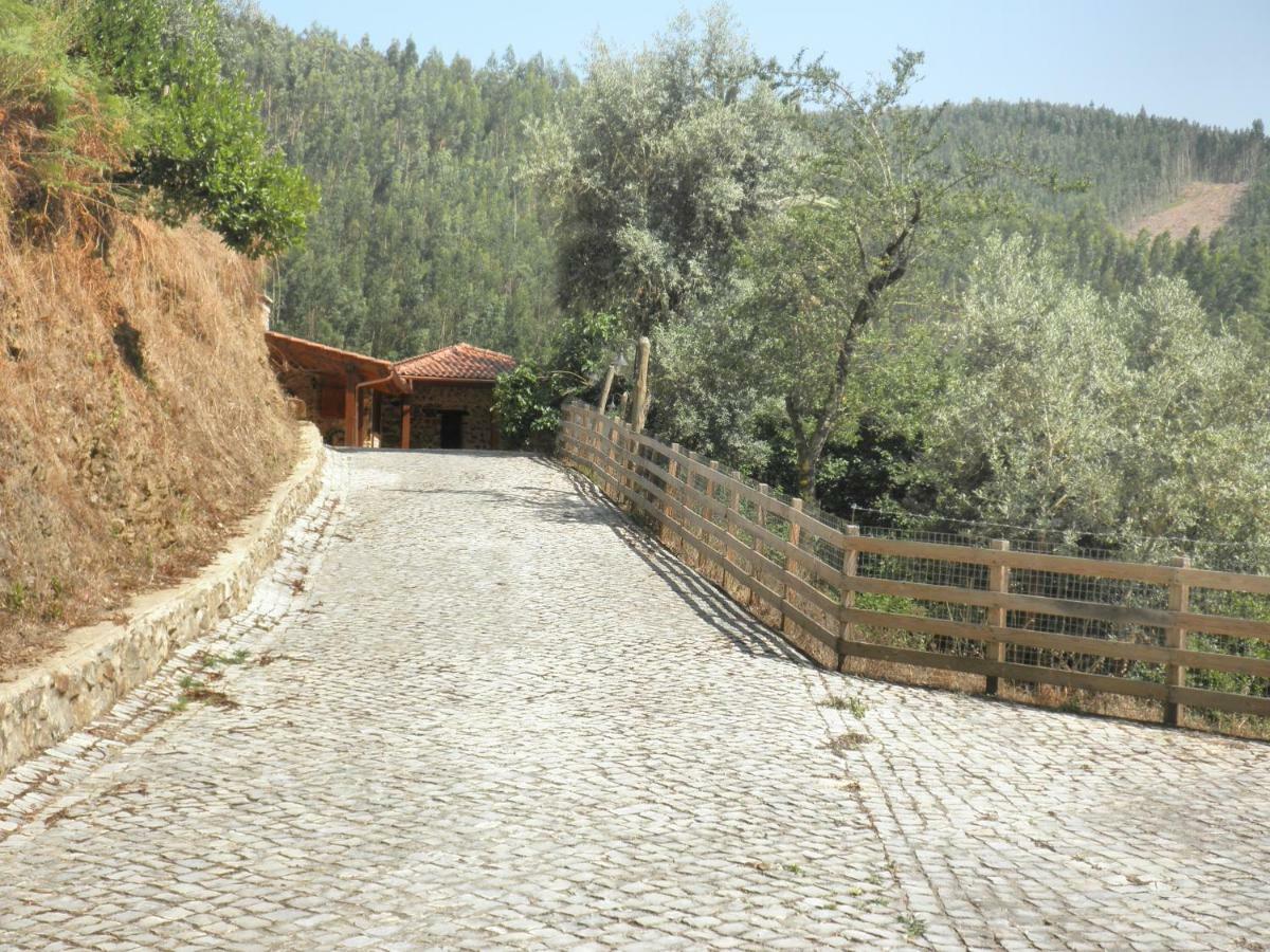 Casa Velha * Figueiro Dos Vinhos