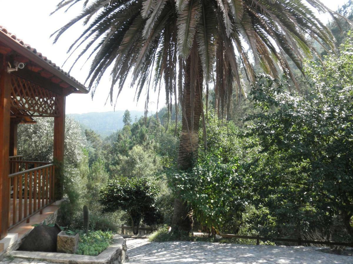 Casa Velha Holiday home Figueiro Dos Vinhos