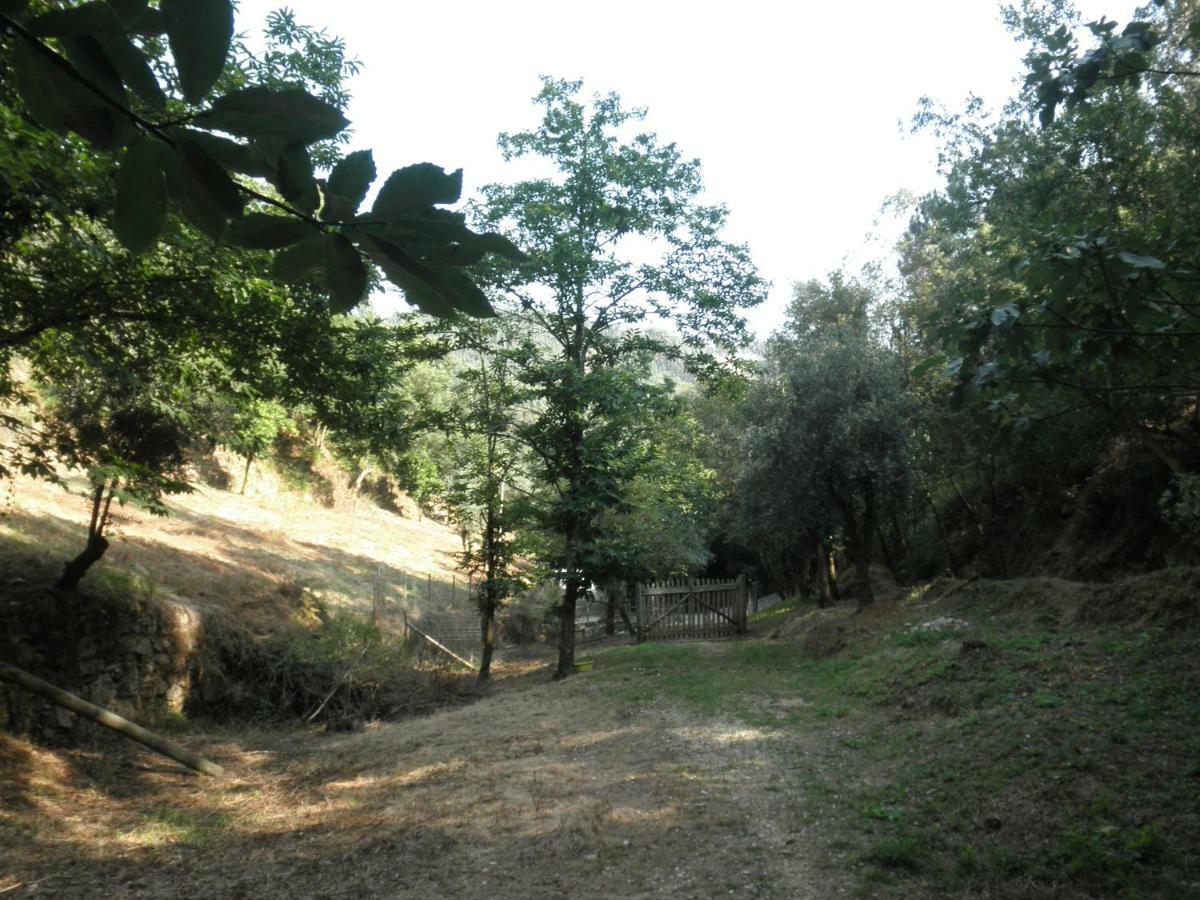 Holiday home Casa Velha