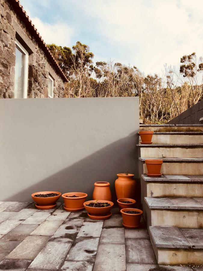 Casa D'avo Francisco Country house Madalena (Azores)