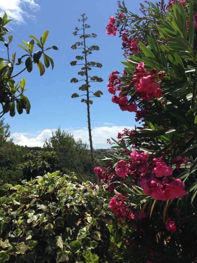 Wavin' Trees Holiday home Ericeira