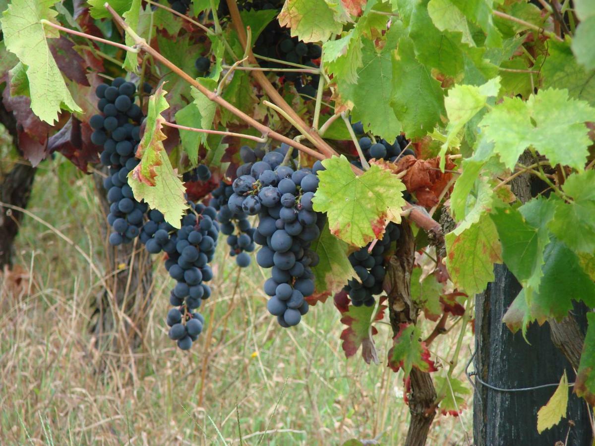Quinta Da Portelada * Peso da Regua