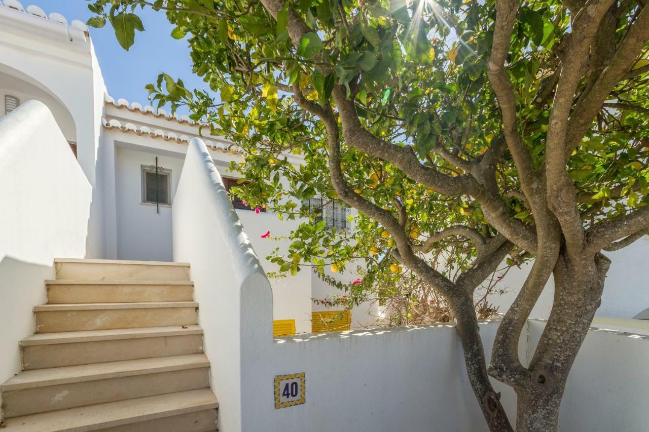 Villa Casa Tulipa *