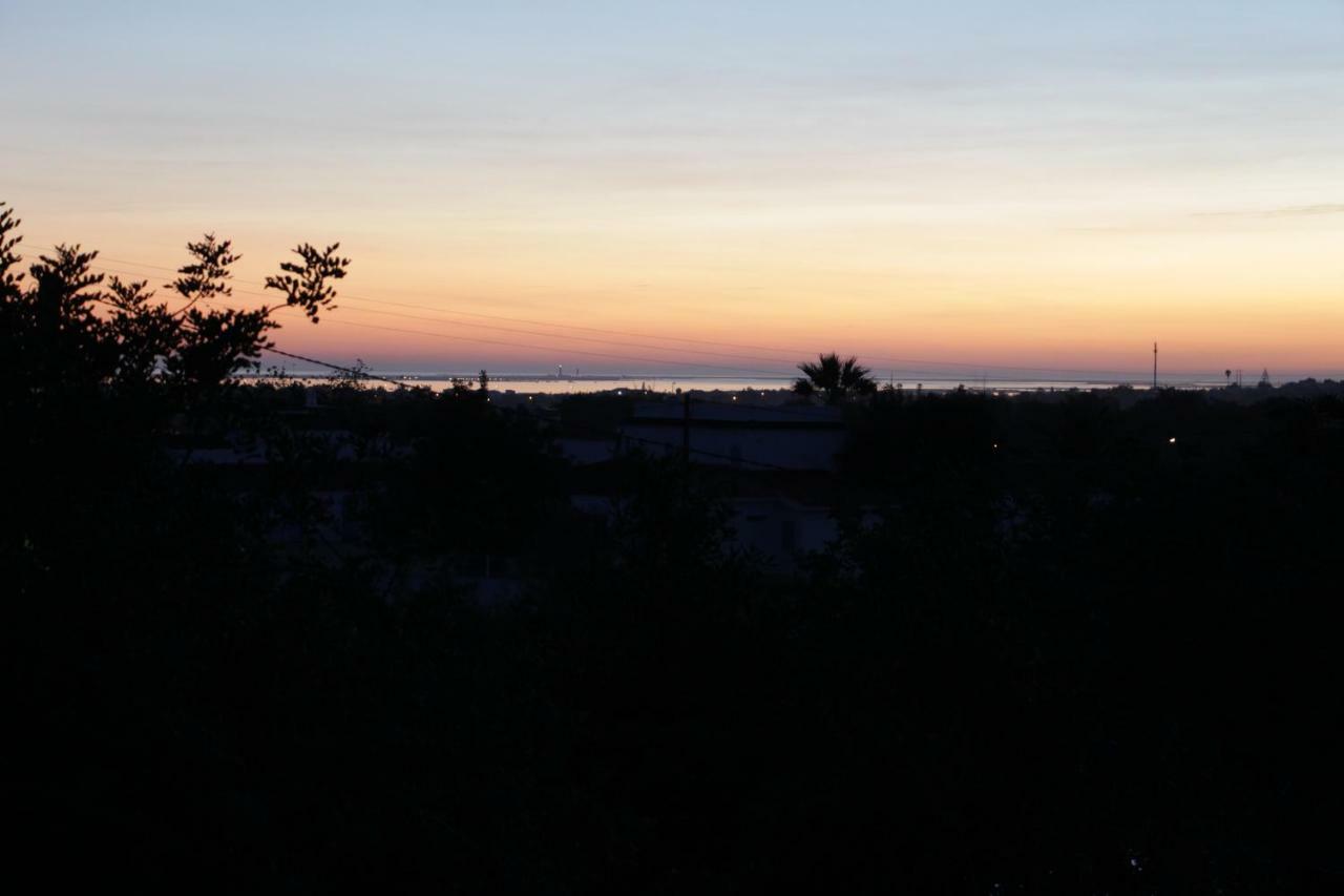 Farm stay Monte Belo Romao *