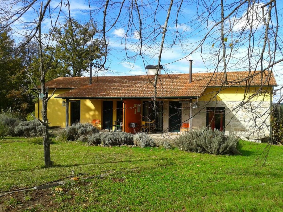 Casa Das Palmeiras * Mangualde