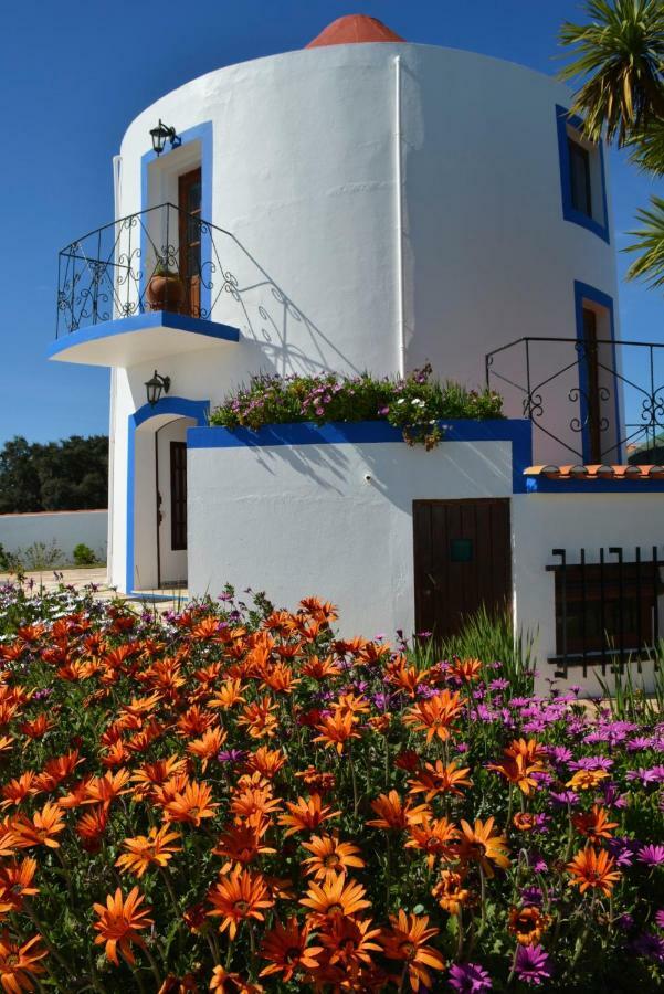 Windmill Hill *