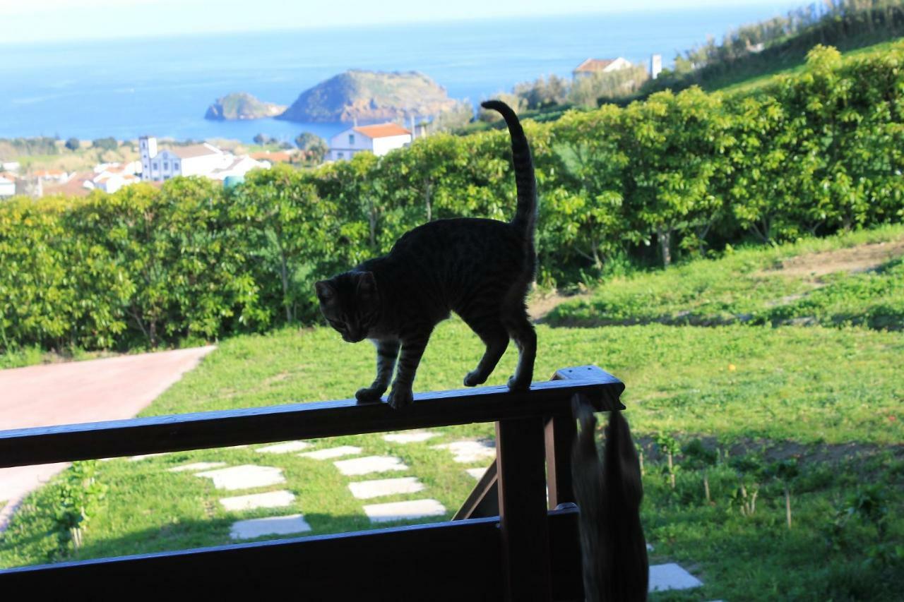 Holiday home Quinta Da Pavoa - House