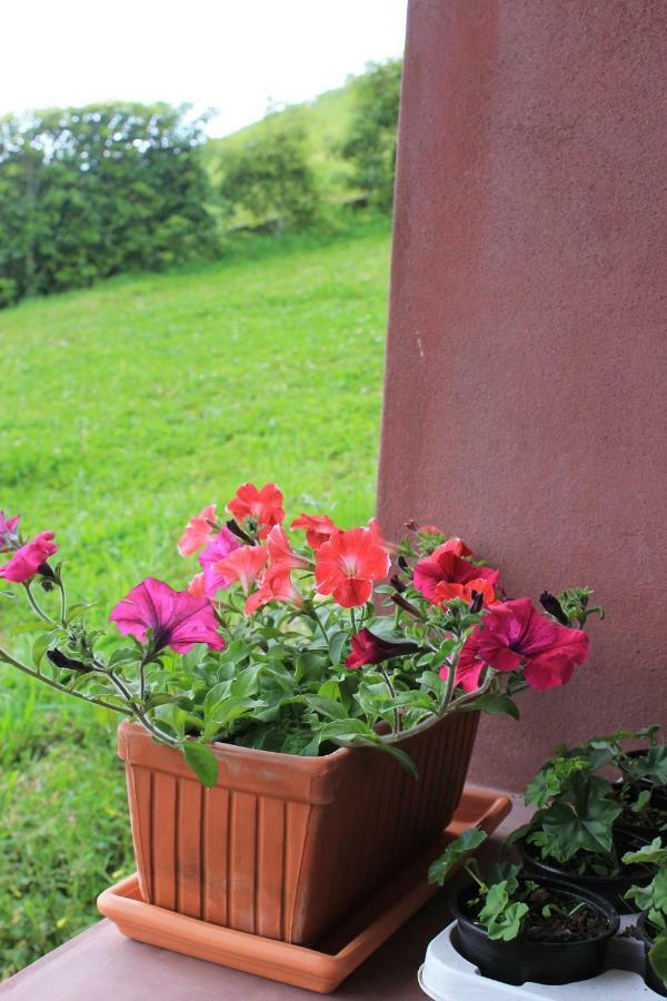 Holiday home Quinta Da Pavoa - House
