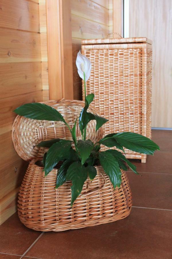 Quinta Da Pavoa - House Holiday home