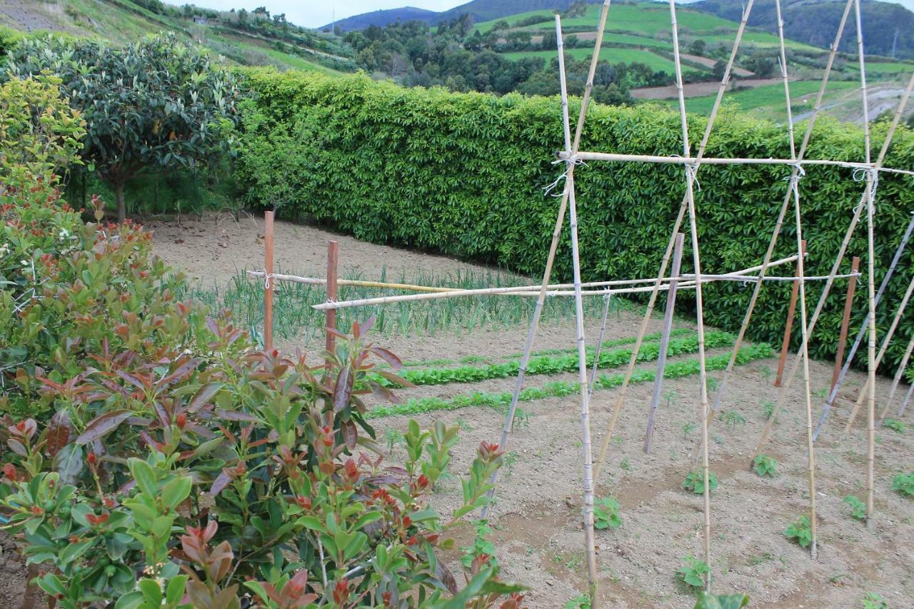 Quinta Da Pavoa - House Holiday home *