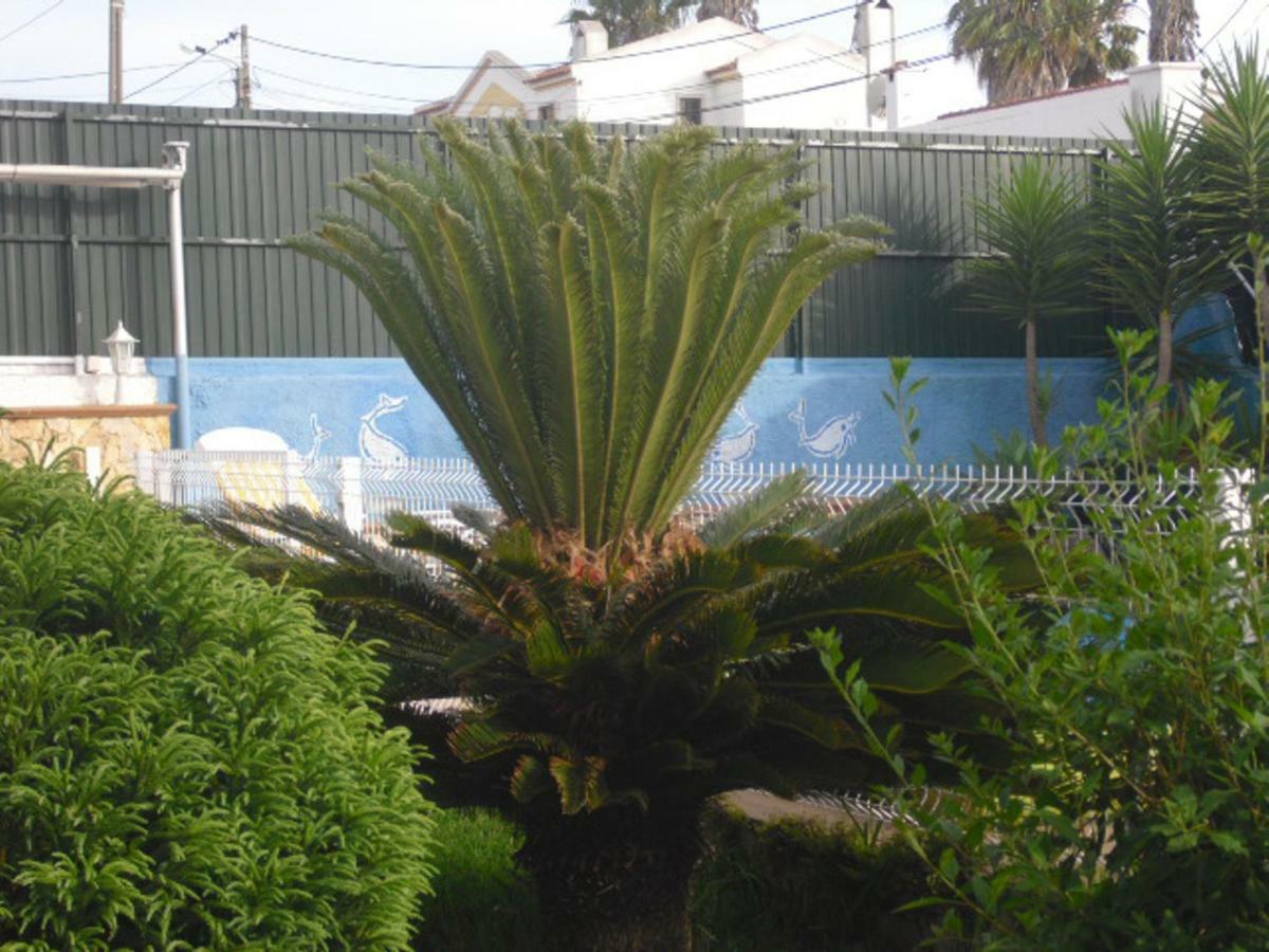 Casa Teresinha Bed & Breakfast 4*