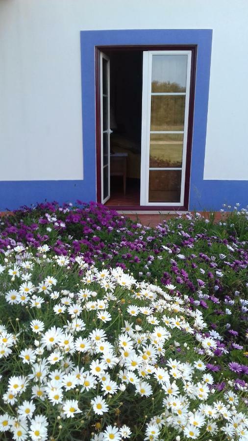 Guest house Monte Sol Ar Do Farol Cavaleiro