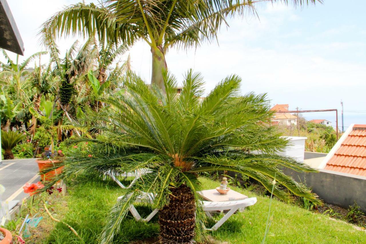 Casa Simao Apartment *