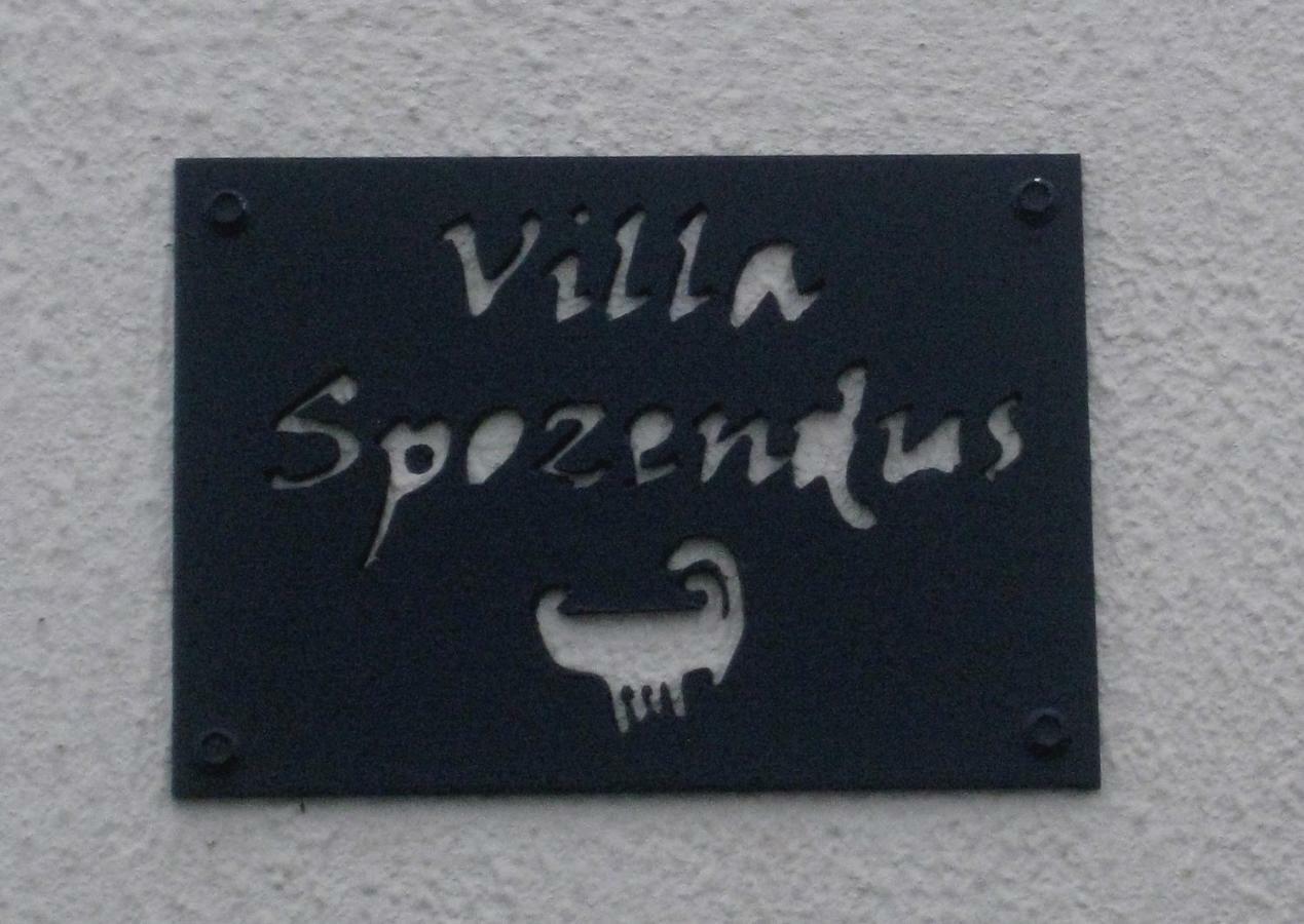 Spozendus Villa Esposende