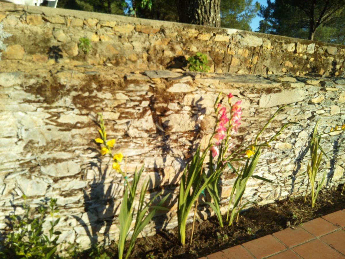 Farm stay Quinta Lameirinhas *