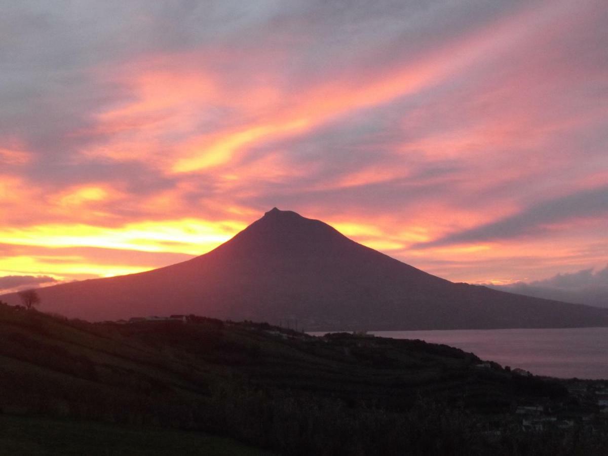 Сasa de vacaciones Casa Farrobo Horta (Azores)