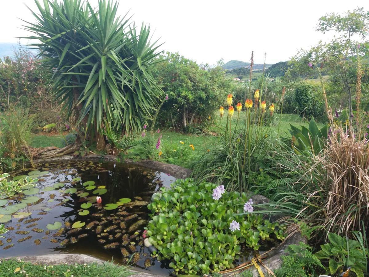 Holiday home Casa Farrobo *