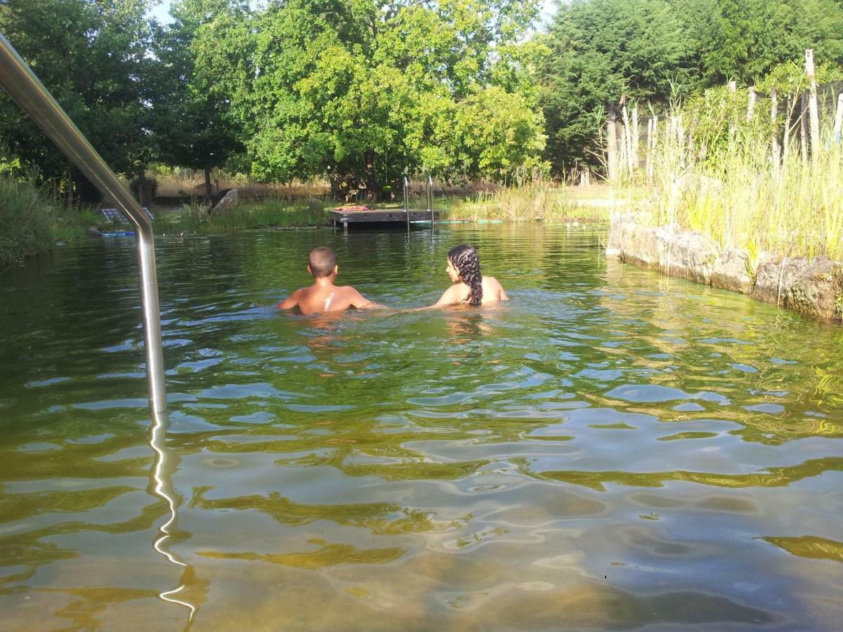 Farm stay Casa Das Palmeiras Mangualde