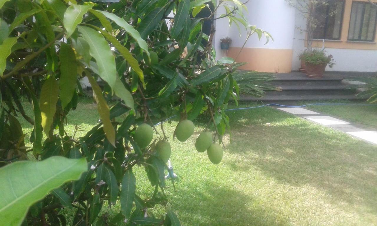 Holiday home Vivenda Cinco Reis *