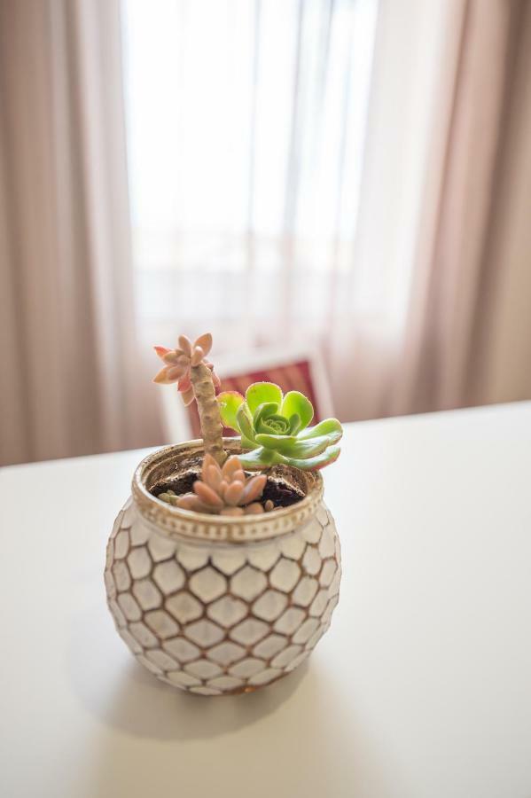 Acomodação com café da manhã  Horta Garden