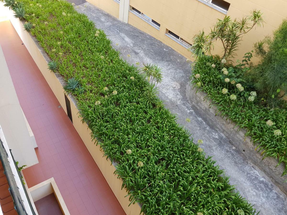 Apartamento Regia Funchal (Madeira)
