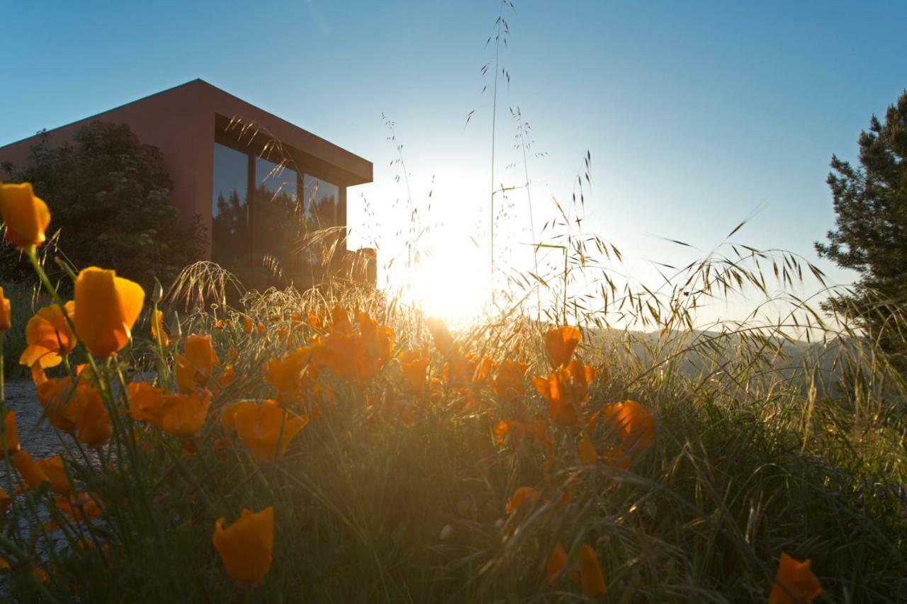 Raizes E Particulas Holiday home