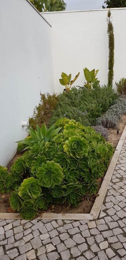 Casa Do Pai House Holiday home Aldeia do Meco