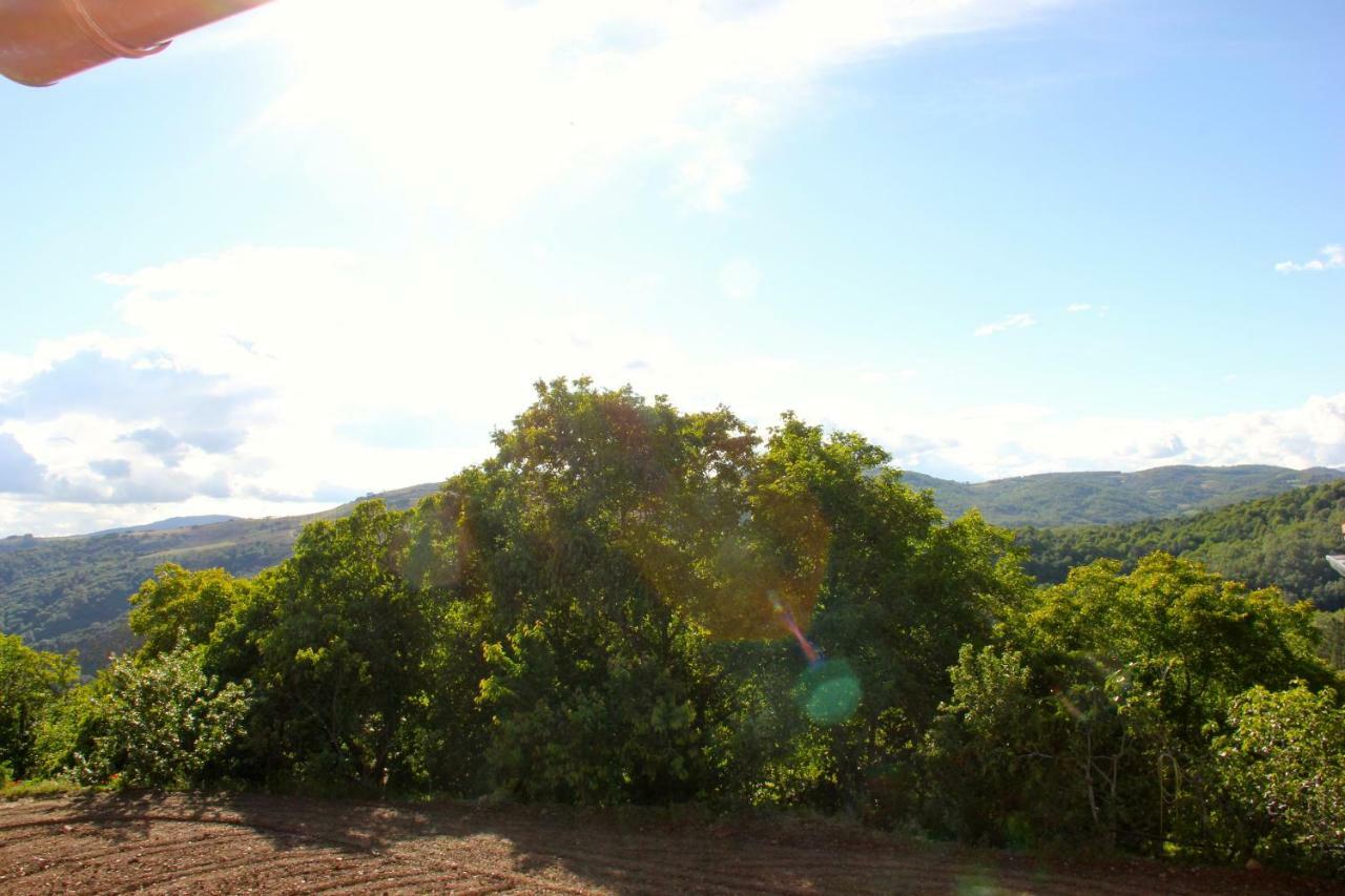 Agroturismo Casa Da Barriada I *