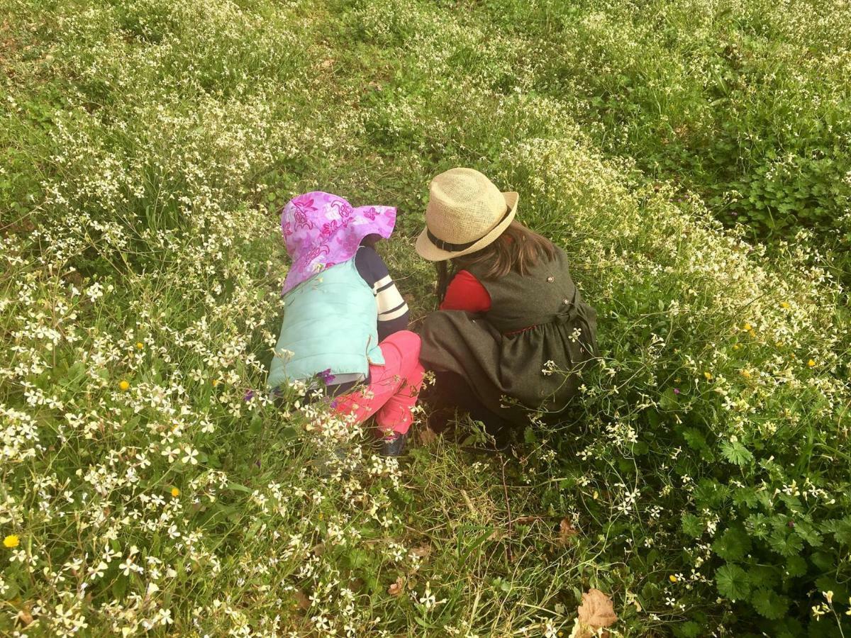 Family Secrets Douro Ribadouro