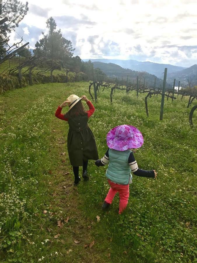 Family Secrets Douro *
